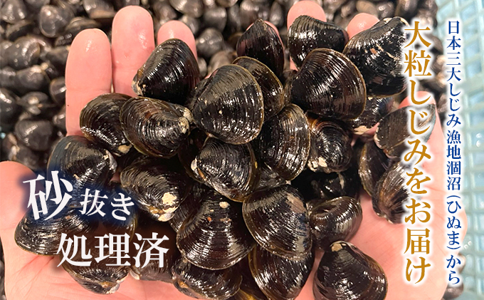 涸沼産 大粒 冷凍 シジミ 1.5kg 干物 3点セット （サバ ホッケ 金目鯛） しじみ 蜆 大和しじみ ヤマトシジミ 大玉 砂抜き済 冷凍 味噌汁 スープ 魚貝類 貝 オルニチン コハク酸 サバ ホッケ キンメ 小分け