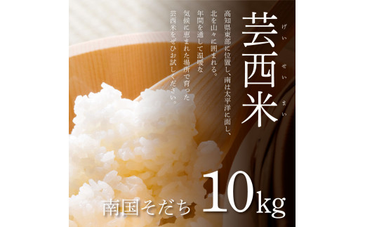 KNK022　芸西米（げいせいまい） "南国そだち"  10kg  令和4年 高知の温暖な気候で育った芸西米 ※お申込み後に精米したての コメ を出荷いたします。令和4年産 米 新米 白米 お米 美味しい あっさり 柔らかい 国産 高知県産 故郷納税 8000円