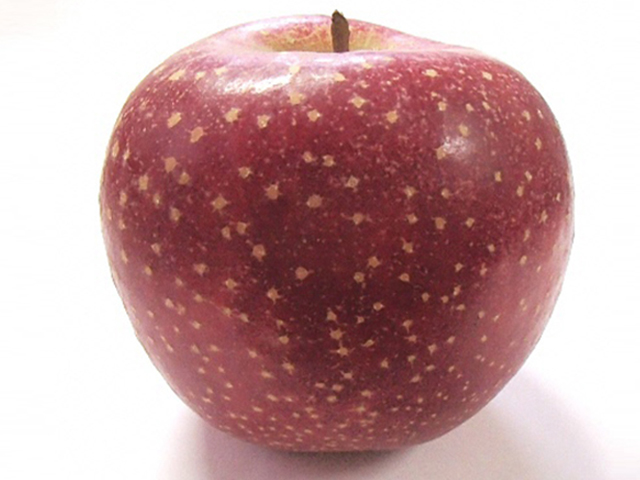 風丸農場　千雪りんごと完熟紅玉のジュースセット　無添加 青森県産　720ml各1本 計2本 飲料類 果汁飲料 りんごジュース 