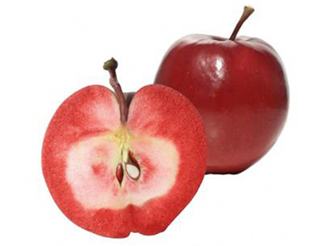 風丸農場 赤いりんごのジュース 無添加 青森県産 180ml×8本セット 飲料類 果汁飲料 千雪 りんごジュース 