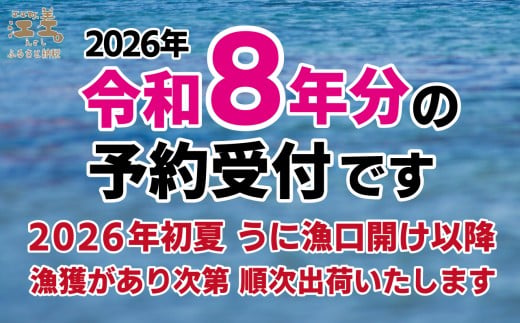 北海道江差町のふるさと納税 ＼2026年先行予約／北海道 江差前浜産 生うに 100g【天然・無添加・みょうばん不使用】令和8年　江差産キタムラサキウニ　日本海熊石産海洋深層水　塩水ウニ　素材を生かした自然の味　国産うに　雲丹　100グラムパック個包装