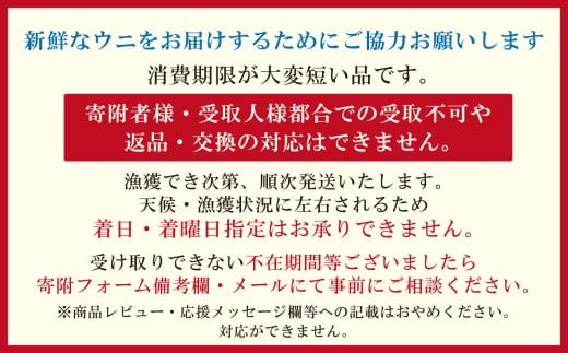 北海道江差町のふるさと納税 【セゾン限定寄附額】＼2026年先行予約／北海道 江差前浜産 生うに 100g【天然・無添加・みょうばん不使用】令和8年　江差産キタムラサキウニ　日本海熊石産海洋深層水　塩水ウニ　素材を生かした自然の味　国産うに　雲丹　100グラムパック個包装