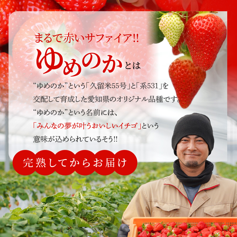 愛知県碧南市のふるさと納税 （予約受付中）【12月以降順次発送】まるで赤いサファイア!!丹精込めた完熟いちご!! 約450g H130-012
