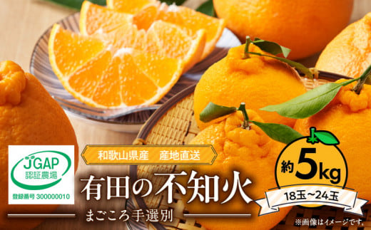 ZE6377n_【2026年先行予約】有田の不知火(しらぬひ) 5kg　18～24玉　（M～2Lサイズ）まごころ手選別
