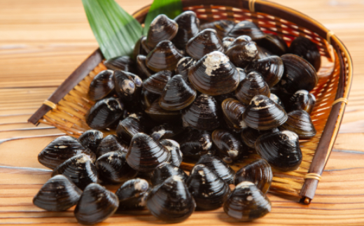 21-48 【年内配送12月15日入金まで】冷凍砂出ししじみドーンと2.5kgセット within2025