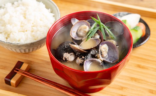 21-48 【年内配送12月15日入金まで】冷凍砂出ししじみドーンと2.5kgセット within2025