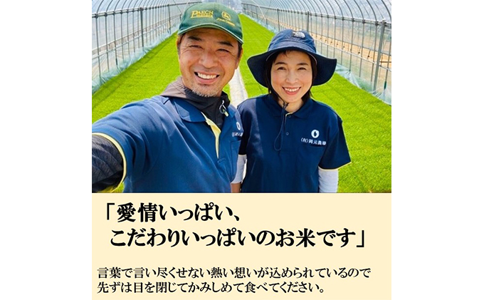 2022年日本農業賞「大賞」【４カ月連続】お米農家のわくわく便(4種類×4.5kg精白米） コシヒカリ 