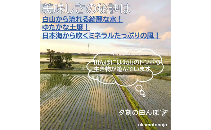 2022年日本農業賞「大賞」【４カ月連続】お米農家のわくわく便(4種類×4.5kg精白米） コシヒカリ 