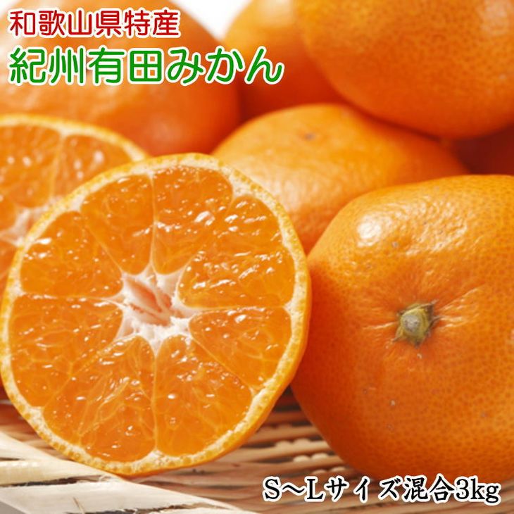 ya̎Rlz[Gi]a̎RLc݂3kg(S`LTCY)ӂ邳Ɣ[ ~J2025N11{`2026N1{ɏ\