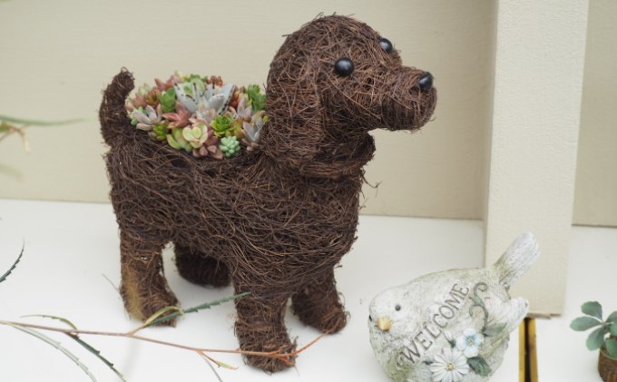 まるで多肉の宝石箱♪チビわんこの多肉植物 寄せ植え（1個） インテリア ガーデニング 玄関 置物 犬 イヌ 犬の置物 