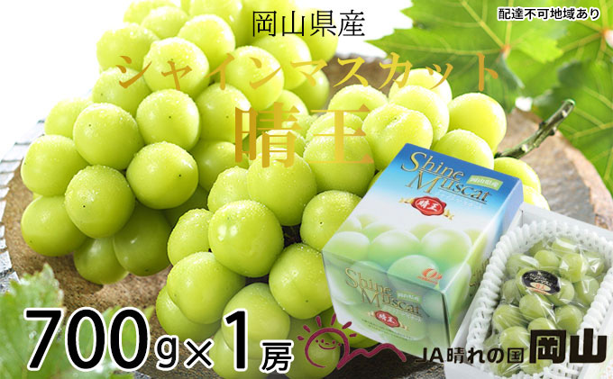 ぶどう 2026年 先行予約 シャイン マスカット 晴王 約700g×1房 7月上旬～8月中旬発送 ブドウ 葡萄  岡山県産 国産 フルーツ 果物 ギフト 