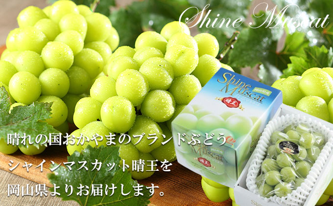 ぶどう 2026年 先行予約 シャイン マスカット 晴王 約600g×1房 7月上旬～8月中旬発送 ブドウ 葡萄  岡山県産 国産 フルーツ 果物 ギフト 