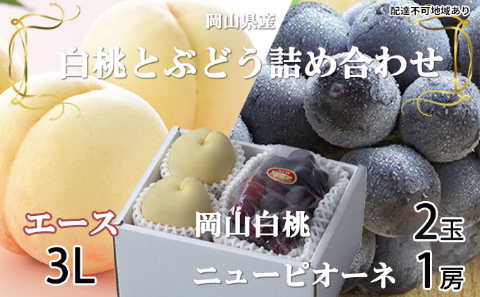 桃 ぶどう 2026年 先行予約 岡山 白桃 エース 2玉×約300g（3Lサイズ、早生種・中生種）ニュー ピオーネ 1房約600g  詰め合わせ 岡山県産 フルーツ 