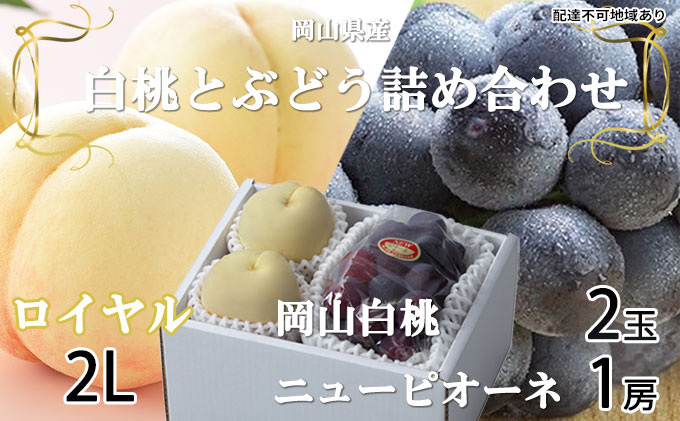 桃 ぶどう 2026年 先行予約 岡山 白桃 ロイヤル 2玉×約250g（2Lサイズ、早生種・中生種）ニュー ピオーネ 1房約500g  詰め合わせ 岡山県産 フルーツ 