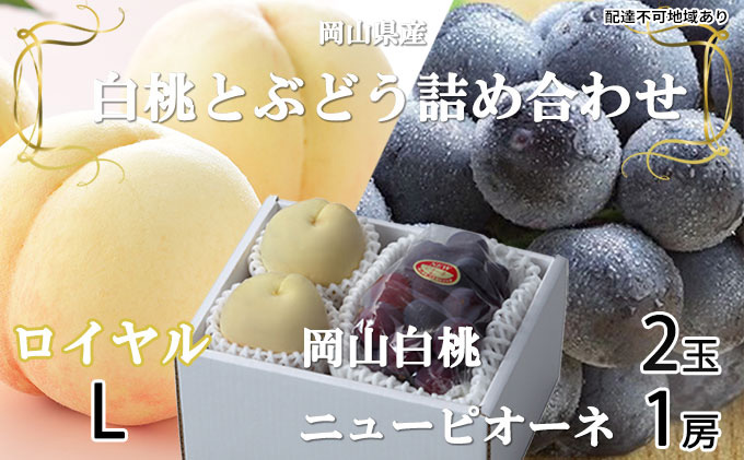 桃 ぶどう 2026年 先行予約 岡山 白桃 ロイヤル 2玉×約200g（Lサイズ、早生種・中生種）ニュー ピオーネ 1房約400g  詰め合わせ 岡山県産 フルーツ 