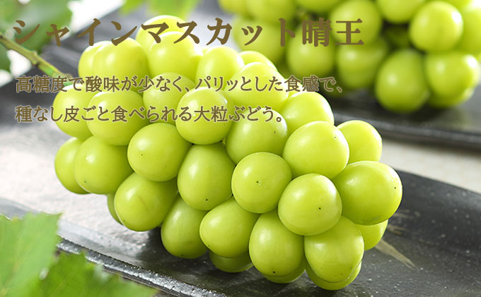 桃 ぶどう 2026年 先行予約 岡山 白桃 エース 2玉×約200g（Lサイズ、早生種・中生種）シャイン マスカット 晴王 1房約400g  詰め合わせ 岡山県産 フルーツ 
