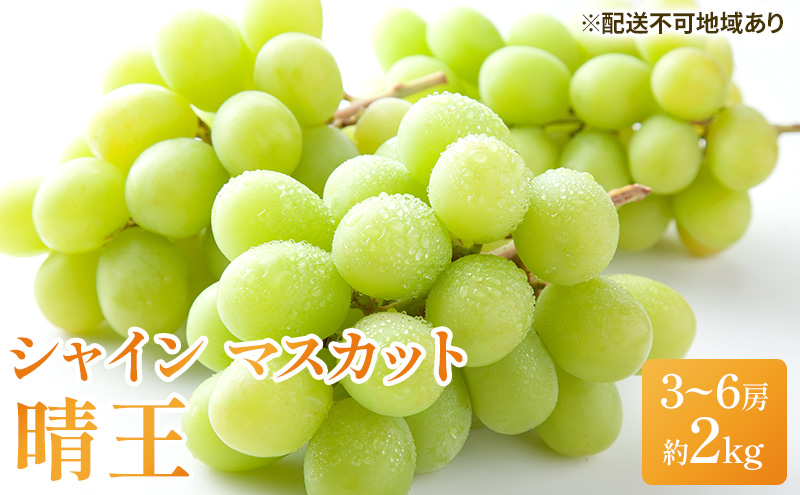 【岡山県玉野市】ぶどう 2026年 先行予約 シャイン マスカット 晴王 3房〜6房 約2kg ブドウ 葡萄  岡山県産 国産 フルーツ 果物 ギフト シャインマスカット 美しい 大粒 種なし 弾力 高糖度 甘い