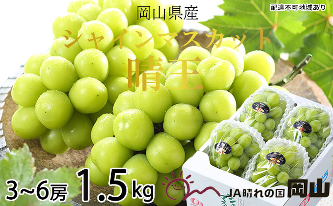 yRʖszԂǂ 2026N s\ VC }XJbg  3[`6[ 1.5kg uhE   RY Y t[c ʕ Mtg VC}XJbg  嗱 Ȃ e x Â