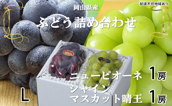 【岡山県玉野市】ぶどう 2026年 先行予約 ニュー ピオーネ 1房 約400g シャイン マスカット 晴王 1房 約400g(Lサイズ)詰め合わせ 岡山県産 国産 フルーツ 果物 ギフト