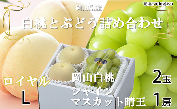【岡山県玉野市】桃 ぶどう 2026年 先行予約 岡山 白桃 ロイヤル 2玉×約200g(Lサイズ、早生種・中生種)シャイン マスカット 晴王 1房約400g  詰め合わせ 岡山県産 フルーツ