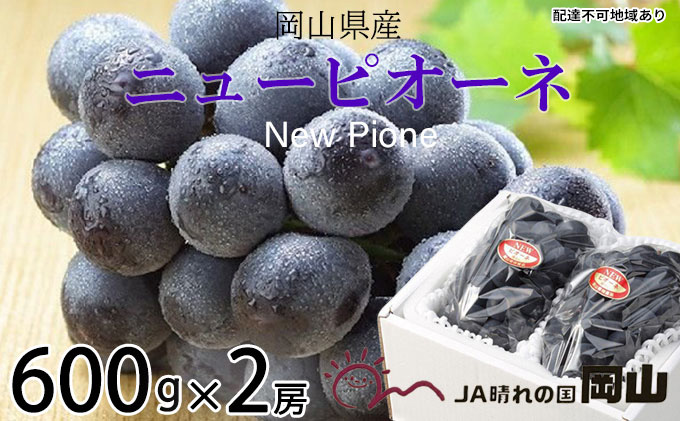 【岡山県玉野市】ぶどう 2026年 先行予約 ニュー ピオーネ 約600g×2房 ブドウ 葡萄  岡山県産 国産 フルーツ 果物 ギフト 果物類 ニューピオーネ 酸味 大粒 種なし 人気 高糖度 甘い 果汁