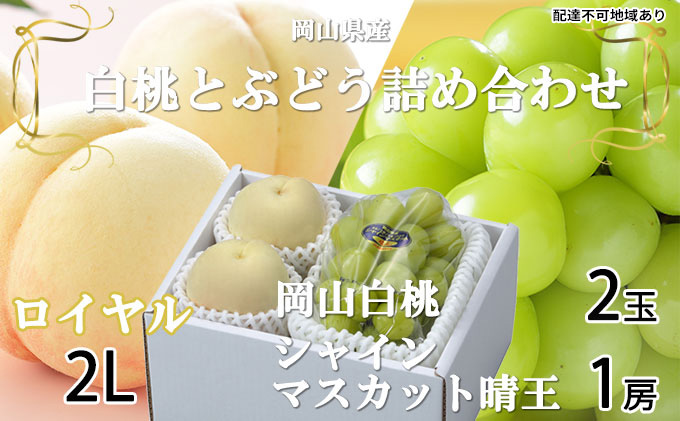 【岡山県玉野市】桃 ぶどう 2026年 先行予約 岡山 白桃 ロイヤル 2玉×約250g(2Lサイズ、早生種・中生種)シャイン マスカット 晴王 1房約500g  詰め合わせ 岡山県産 フルーツ