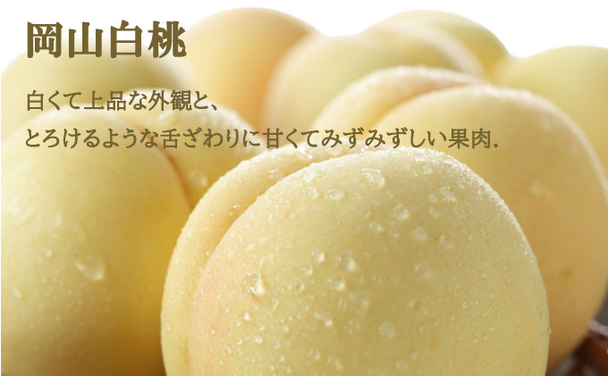 桃 ぶどう 2026年 先行予約 岡山 白桃 ロイヤル 2玉×約200g（Lサイズ、早生種・中生種）シャイン マスカット 晴王 1房約400g  詰め合わせ 岡山県産 フルーツ 