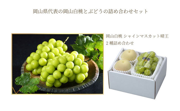 桃 ぶどう 2026年 先行予約 岡山 白桃 エース 2玉×約300g（3Lサイズ、早生種・中生種）シャイン マスカット 晴王 1房約600g  詰め合わせ 岡山県産 フルーツ 