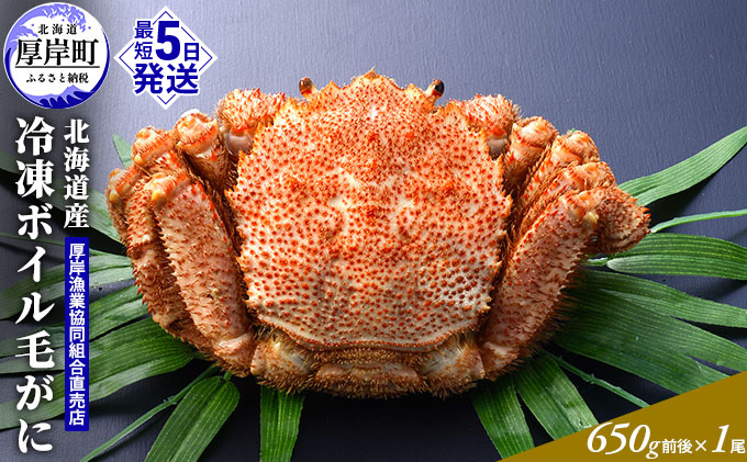 【3D冷凍】北海道産 冷凍ボイル毛がに 650g前後×1尾 毛カニ 蟹 毛ガニ カニ かに 