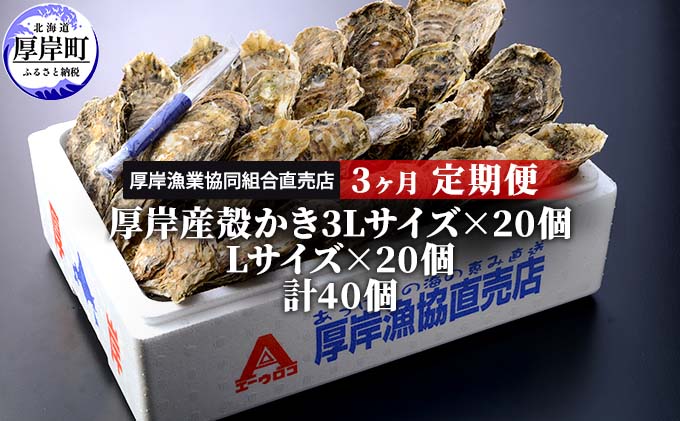 【北海道厚岸町】定期便 3ヶ月 北海道 厚岸産 牡蠣 3L 20個 と L 20個 ひと月あたり40個お届け (各回40個×3ヶ月分,合計120個) 殻付き 生食 かき カキ 生牡蠣 貝付き牡蠣 貝 海鮮 魚介類 マルえもん