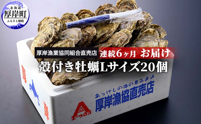 定期便 6ヶ月 北海道 厚岸産 牡蠣 Lサイズ 20個 (各回20個×6ヶ月分,合計120個) 殻付き 生食 カキナイフ付き かき カキ 魚貝類 生牡蠣 マルえもん