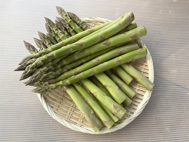 アスパラガス 先行予約 夏アスパラガス 約1.5kg+100g M～2L 混合 川田農園 アスパラ グリーンアスパラ 野菜 夏野菜 旬 旬の野菜 産地直送 2025年 2025 予約 青森 冷蔵 冷蔵配送 7月～9月発送