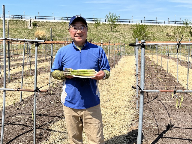 アスパラガス 先行予約 夏アスパラガス 約1kg+100g L～2L 約30本前後 厳選 マコト農園 アスパラ グリーンアスパラ 野菜 夏 旬 旬の野菜 産地直送 2026年 2026 先行 予約 青森 冷蔵 冷蔵配送 8月～9月発送