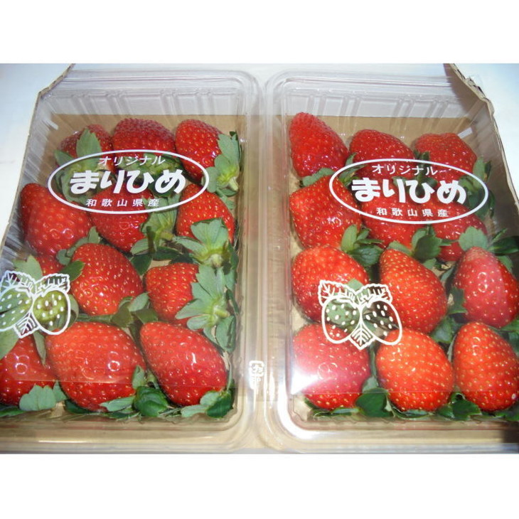 【1月発送】和歌山県産ブランドいちご「まりひめ」約300g×4パック入り◇｜苺 産地直送 果物 ふるさと納税 いちご フルーツ ※北海道・沖縄・離島への配送不可 ※2026年1月中旬～1月下旬頃に順次発送予定