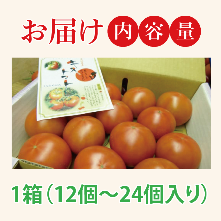 【2026年2月より順次発送】★フルーツトマト★KISSトマト 1箱｜トマト とまと フルーツ フルーツトマト KISSトマト 先行予約 茨城県 行方市(AC-1)
