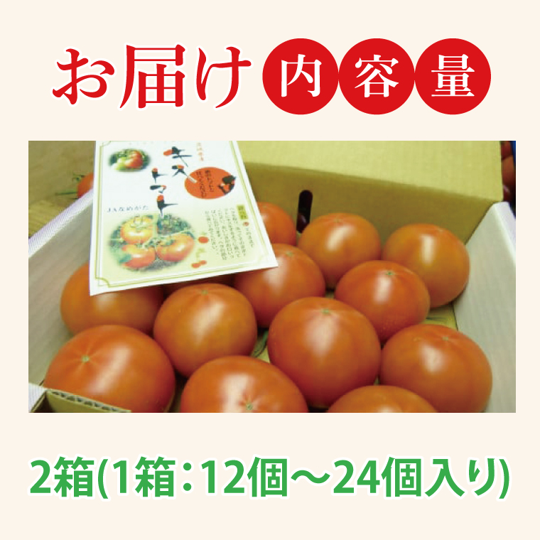 【2026年2月より順次発送】★フルーツトマト★KISSトマト 2箱｜トマト とまと フルーツ フルーツトマト KISSトマト 先行予約 茨城県 行方市(AC-2)