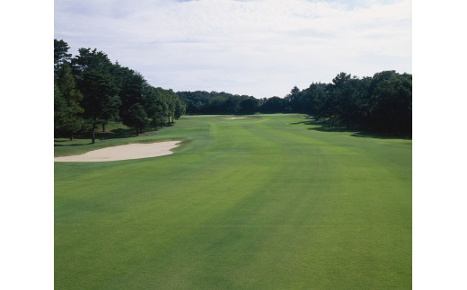 茨城県行方市のふるさと納税 AV-2 ☆平日限定プレー券〈２名様利用〉