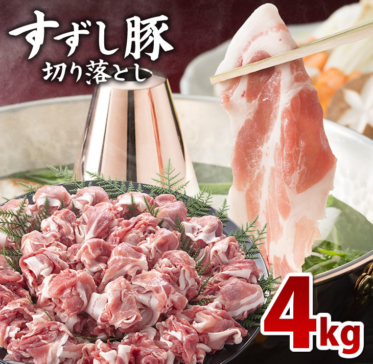 y錧sszy2026N2菇zyc_̂؁z ؂藎Ƃ4kgZbgb  ؓ ؂藎Ƃ  uh 錧 ssiM-4j