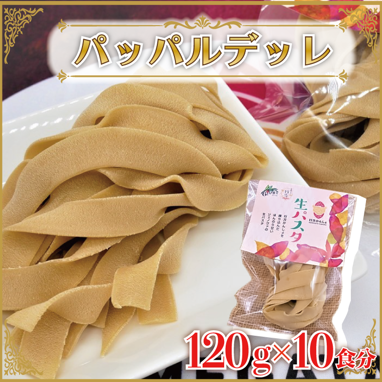 茨城県行方市のふるさと納税 CJ-13 生パスタ （パッパルデッレ10食分）