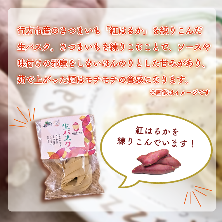 茨城県行方市のふるさと納税 CJ-13 生パスタ （パッパルデッレ10食分）