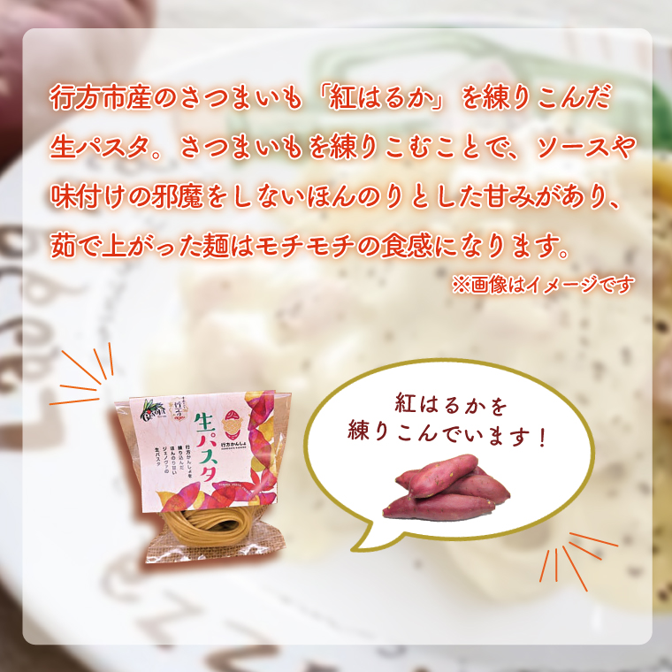 茨城県行方市のふるさと納税 CJ-7 生パスタ （スパゲッティ10食分）＆トマトソース5袋