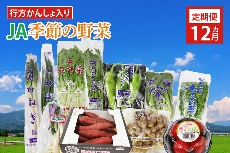 茨城県行方市のふるさと納税 AE-23 『行方かんしょ』入り【12ヶ月定期便】JAなめがたしおさい 季節の野菜セット（毎月1回 計12回発送）