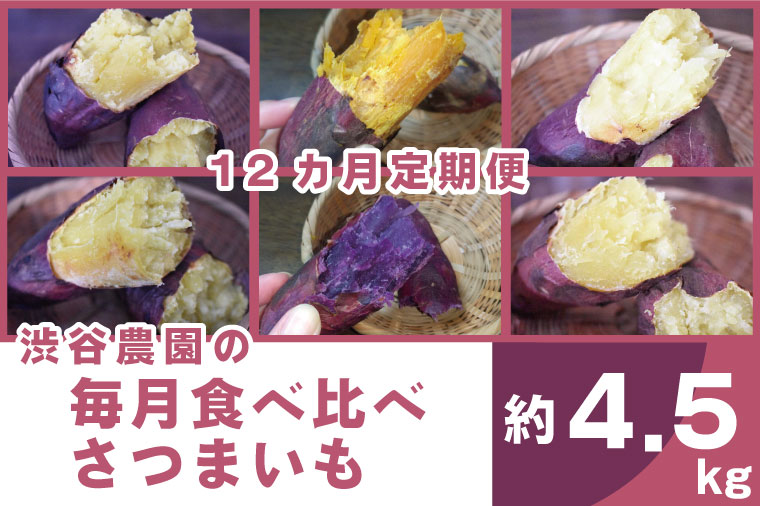 茨城県行方市のふるさと納税 【12ヶ月定期便】渋谷農園の毎月食べ比べさつまいも 約4.5kg｜さつまいも サツマイモ さつま芋 お芋 食べ比べ 定期便 毎月 紅はるか きみまろこ シルクスイート 栗かぐや 渋谷農園 さつまいも博 茨城県産 茨城県 行方市(BZ-21)