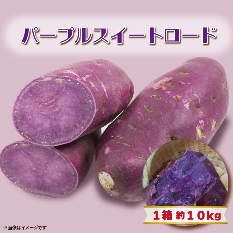 y錧sszy2025N11菇z2025NxY p[vXC[g[h 10kgb܂   p[vXC[g[h aJ_ s\ 錧 ss(BZ-8)
