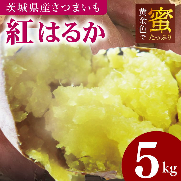 焼き芋好きのための黄金色で蜜たっぷりサツマイモ 紅はるか 約5kg｜さつまいも サツマイモ お芋 紅はるか 蜜 やきいも 焼き芋 ヤキイモ 茨城県 行方市(BI-71)