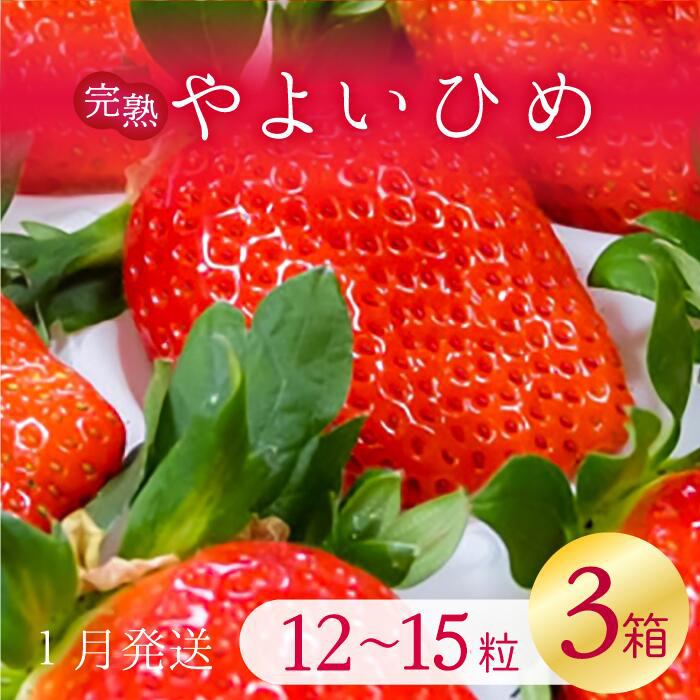 y錧sszy2026N1zÁ`I 悢Ђ 3(1F12`15)b C`S  Xgx[ 悢Ђ ʕ  t[c s\ 錧 ss(V-7)