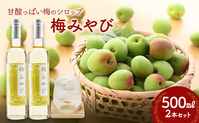y{錧͌z~݂сi~Vbvj500ml×2{Zbg