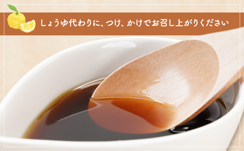 大河原町観光物産協会 特産品Cセット ドレッシング 調味料 ポン酢 柚子 梅 シロップ 果実 詰め合わせ 