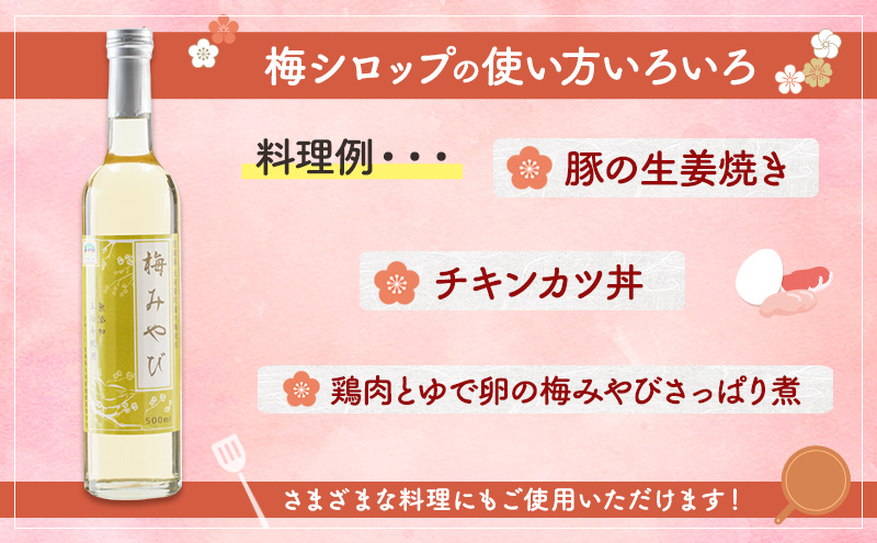 大河原町観光物産協会 特産品Aセット ドレッシング 調味料 ポン酢 柚子 梅 シロップ 果実 グッズ 詰め合わせ 町のおすすめ返礼品 