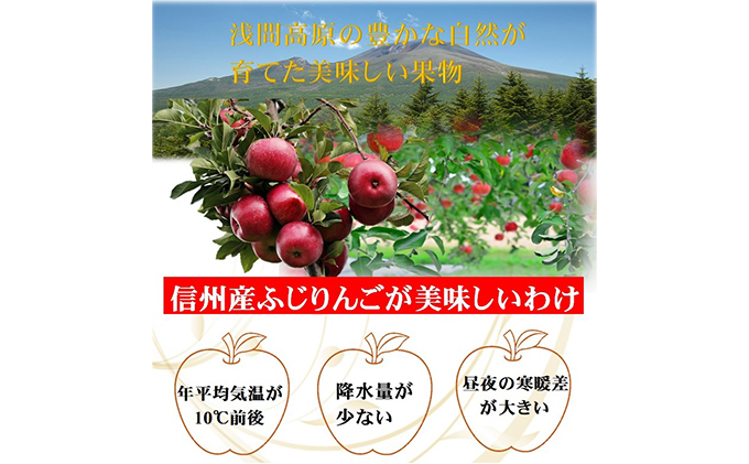 信州浅間ファーム・100％ジュース 3本セット（各500ml） 果汁飲料 林檎 リンゴ 